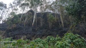 CRQ hace un llamado a la conciencia ciudadana ante el aumento de incendios por altas temperaturas en el Quindío