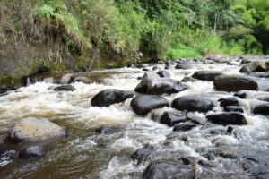 En la semana mundial del agua la CRQ advierte sobre la importancia del uso responsable del agua y destaca monitoreo constante de fuentes hídricas