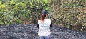 Más de 40 incendios forestales reporta la CRQ entre agosto y septiembre