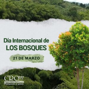 Dia Internacional de LOS BOSQUES