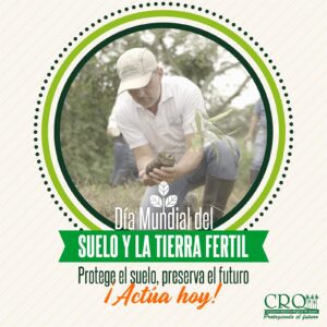 Dia mundial del suelo y la tierra fertil 