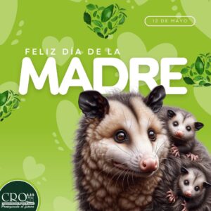 Feliz dia de la Madre