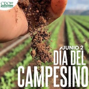 Dia del campesino 