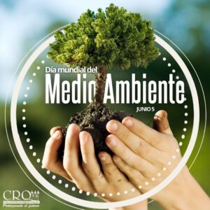 Dia mundial del medio Ambiente 