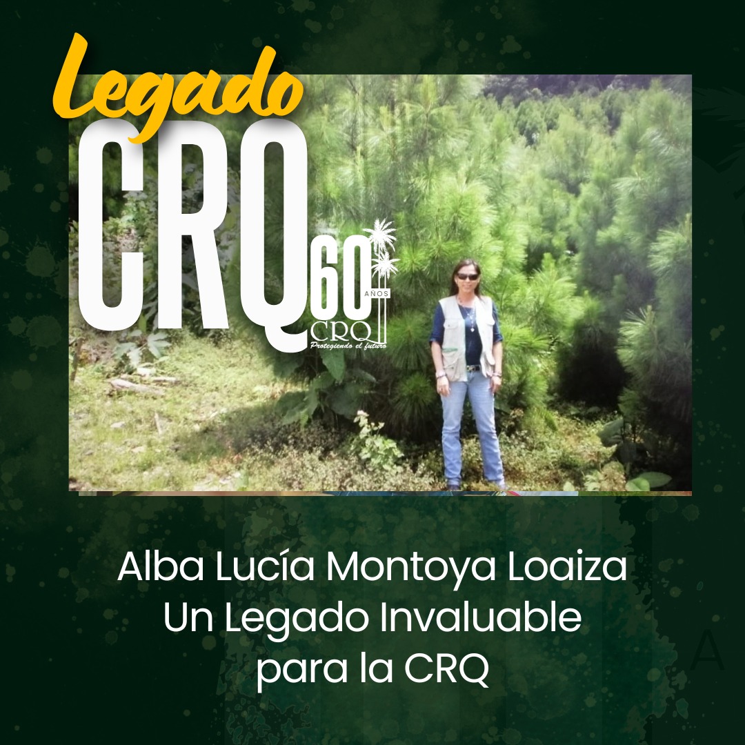 WhatsApp Image 2025-10-24 at 9.40.34 AM