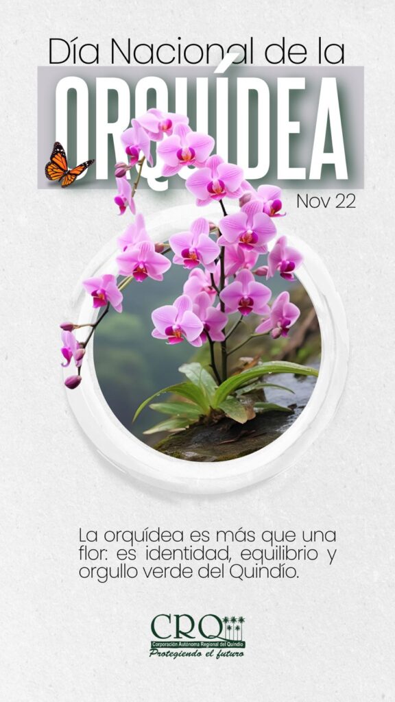 Día Nacional de la Orquídea 